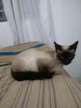 mel