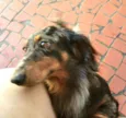 Lolla e Otávio