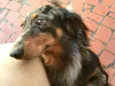Lolla e Otávio