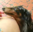 Lolla e Otávio