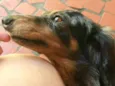 Lolla e Otávio
