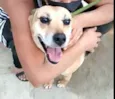 Linda