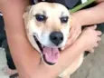 Linda
