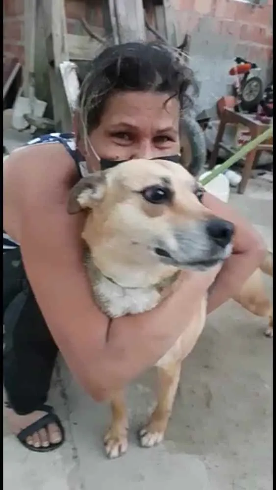 Cachorro ra a  idade 2 anos nome Linda