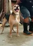 Linda