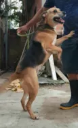 Linda