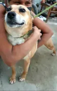 Linda