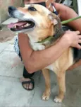 Linda