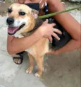 Linda