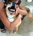 Linda