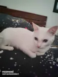 Luz bebê linda