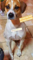 Fred 
