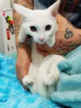Gaspar lindo bebê 