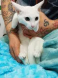Gaspar lindo bebê 