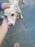 Não sei