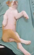 buty