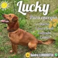 Lucky