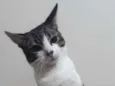 Tom