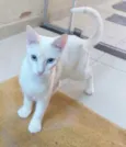Miguel 