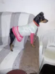 Manu