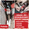 Pretinha 