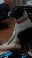 Não sei