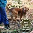 Isaac
