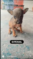 Sem nome