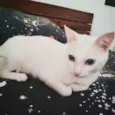 Luz bebê linda