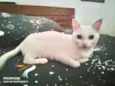 Luz bebê linda
