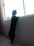 Luna e Ravena