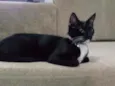 Luna e Ravena