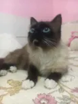 Belinha Maria