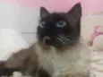 Belinha Maria