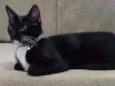 Luna e Ravena