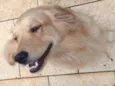 Meg