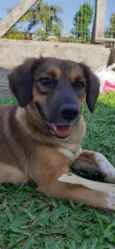 GUETA
