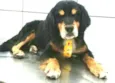 Charlie