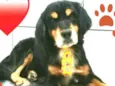 Charlie
