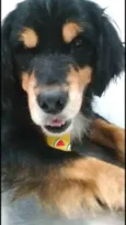 Charlie