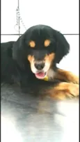 Charlie