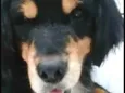 Charlie