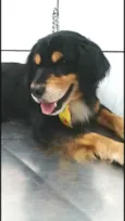 Charlie