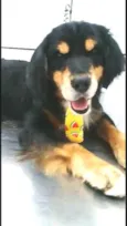 Charlie