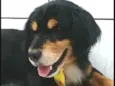 Charlie