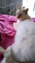 Pepe lindo demais