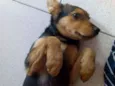 Não sei,chamo nego