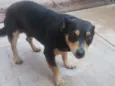 Salgadinho