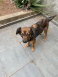 Tuti