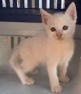 Marley